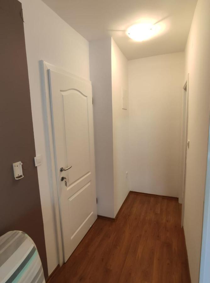 Ivana Apartman 2 ツリクヴェニツァ エクステリア 写真