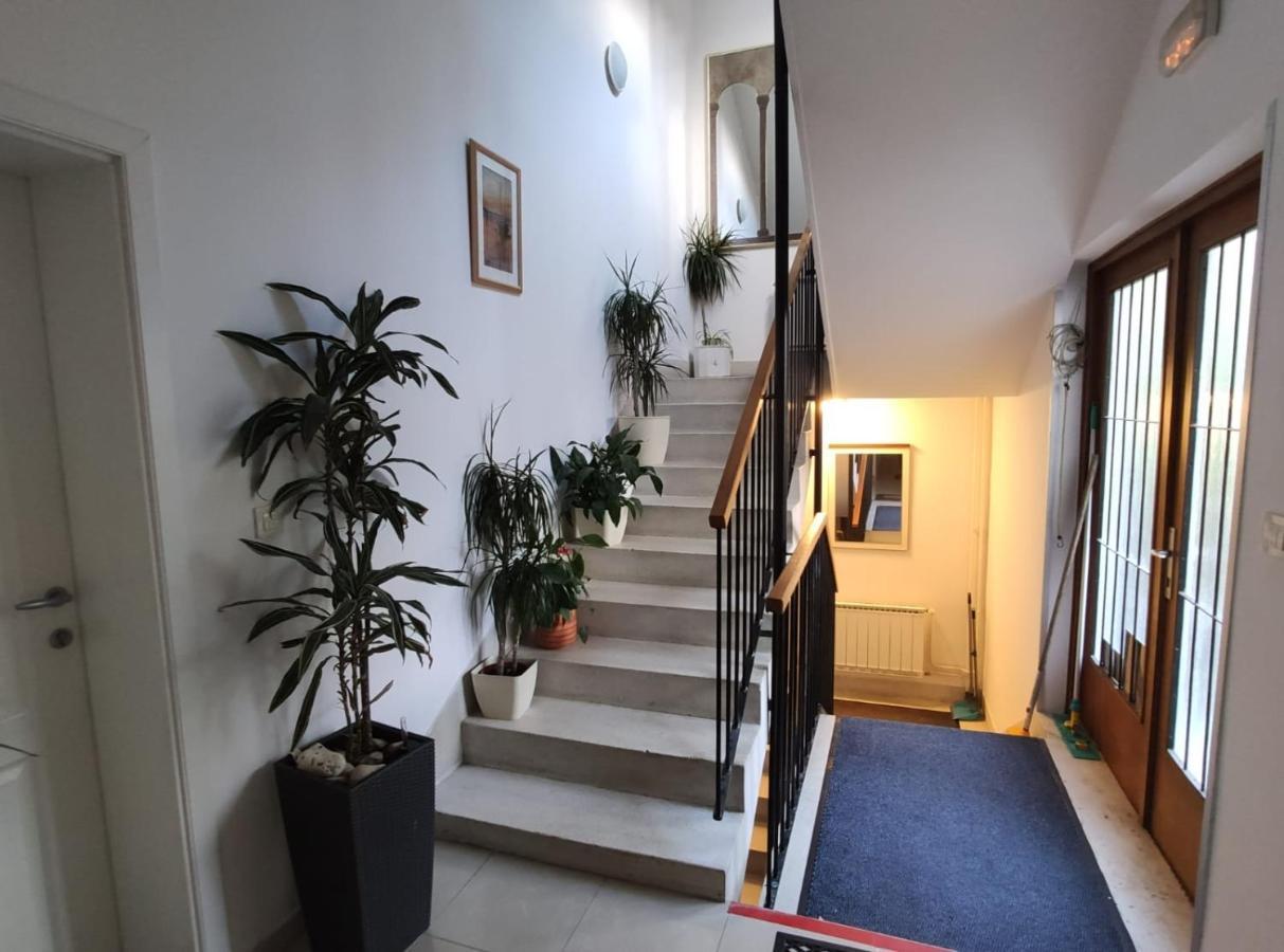 Ivana Apartman 2 ツリクヴェニツァ エクステリア 写真